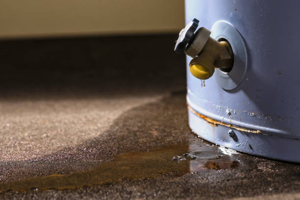 Best 24-hour water damage restoration  in Lakeside, VA