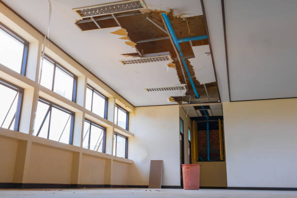 Best Ceiling water damage repair  in Lakeside, VA