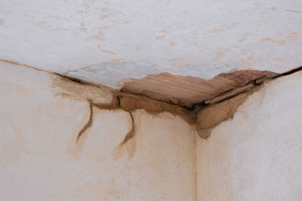  Lakeside, VA Water damage restoration Pros