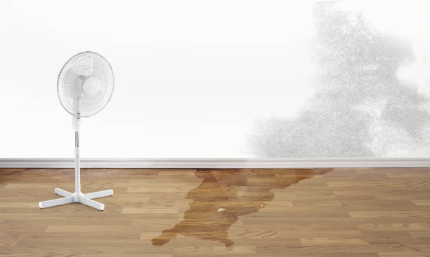  Lakeside, VA Water damage restoration Pros