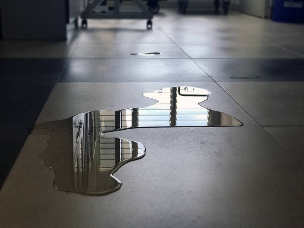 Best Water damage restoration services  in Lakeside, VA