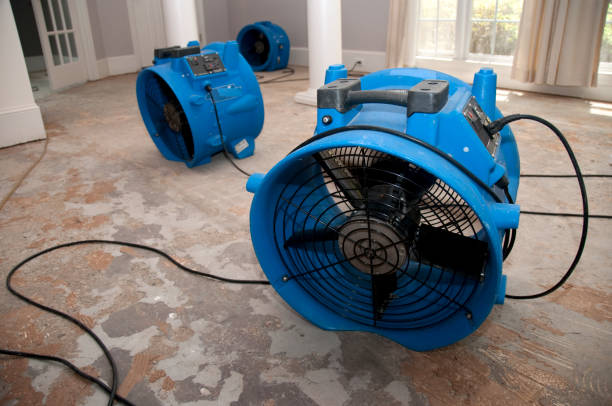Best Fire Damage Restoration  in Lakeside, VA