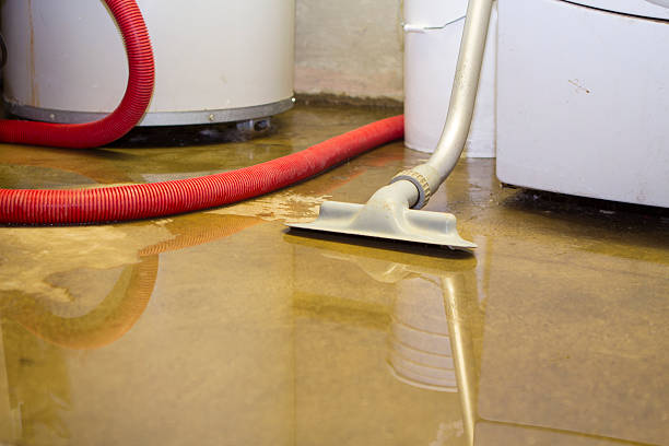 Best Water damage repair service  in Lakeside, VA