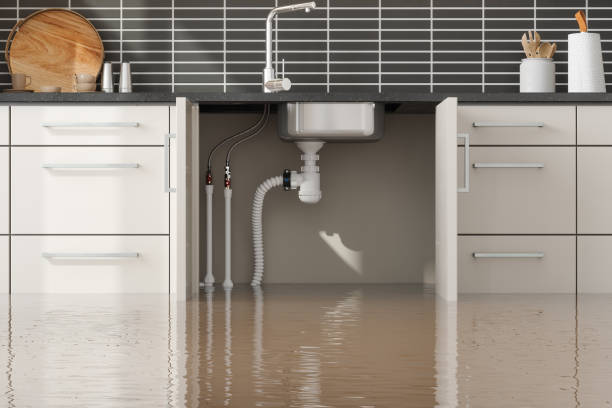 Best Water damage mitigation services  in Lakeside, VA
