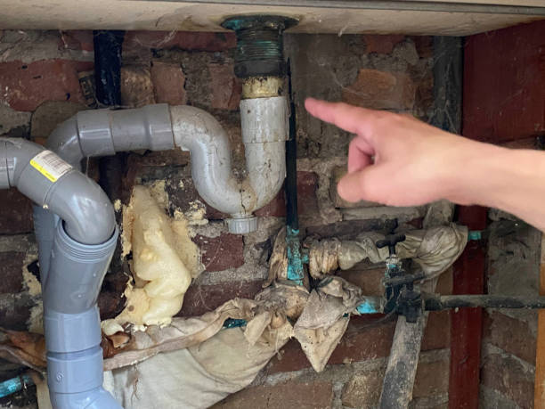 Best Fire Damage Restoration  in Lakeside, VA
