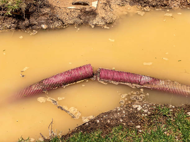 Best Emergency water damage restoration  in Lakeside, VA