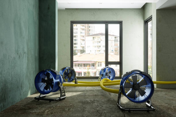 Best Water damage contractors near me  in Lakeside, VA